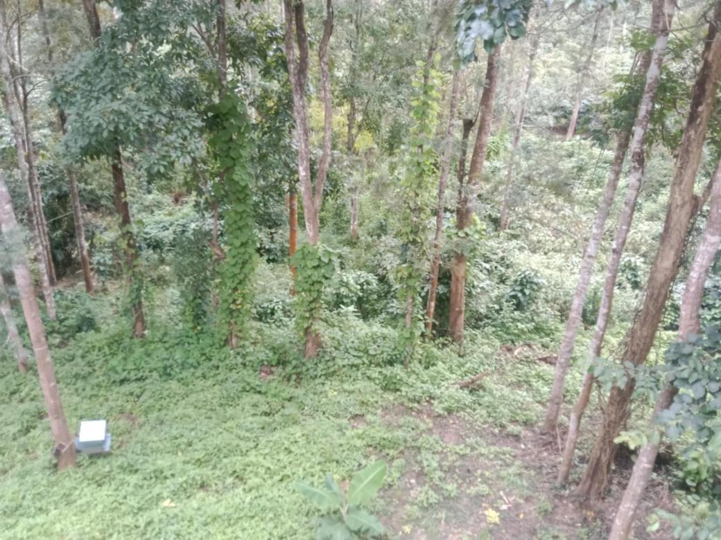 הוילה Suntikoppa Elephant Path Coorg 3Bhk מראה חיצוני תמונה